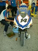 misano sbk 2008